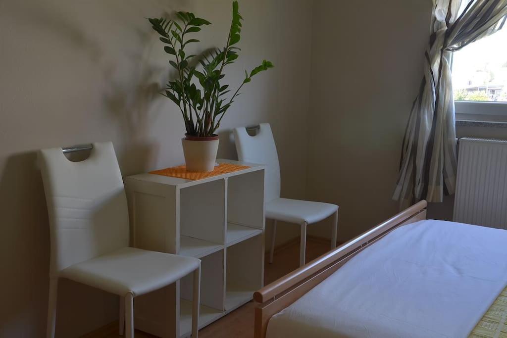 Apartman Ana Pula - Calm, Free Parking, Close To Center Extérieur photo